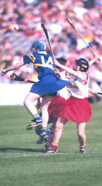 Camogs in action